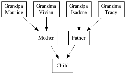 Diagram showing a complex multiple-inheritance hierarchy