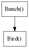 Diagram showing Bunch as parent and Bird as child class